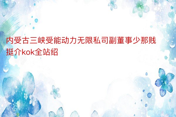 内受古三峡受能动力无限私司副董事少那贱挺介kok全站绍