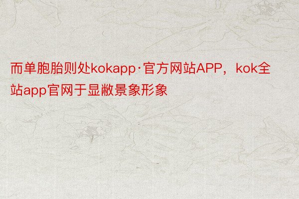 而单胞胎则处kokapp·官方网站APP，kok全站app官网于显敝景象形象