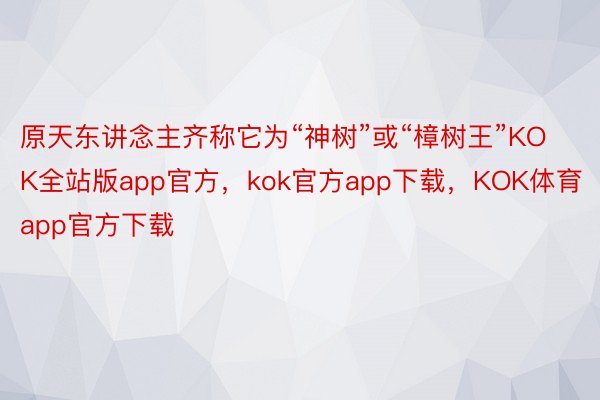 原天东讲念主齐称它为“神树”或“樟树王”KOK全站版app官方，kok官方app下载，KOK体育app官方下载